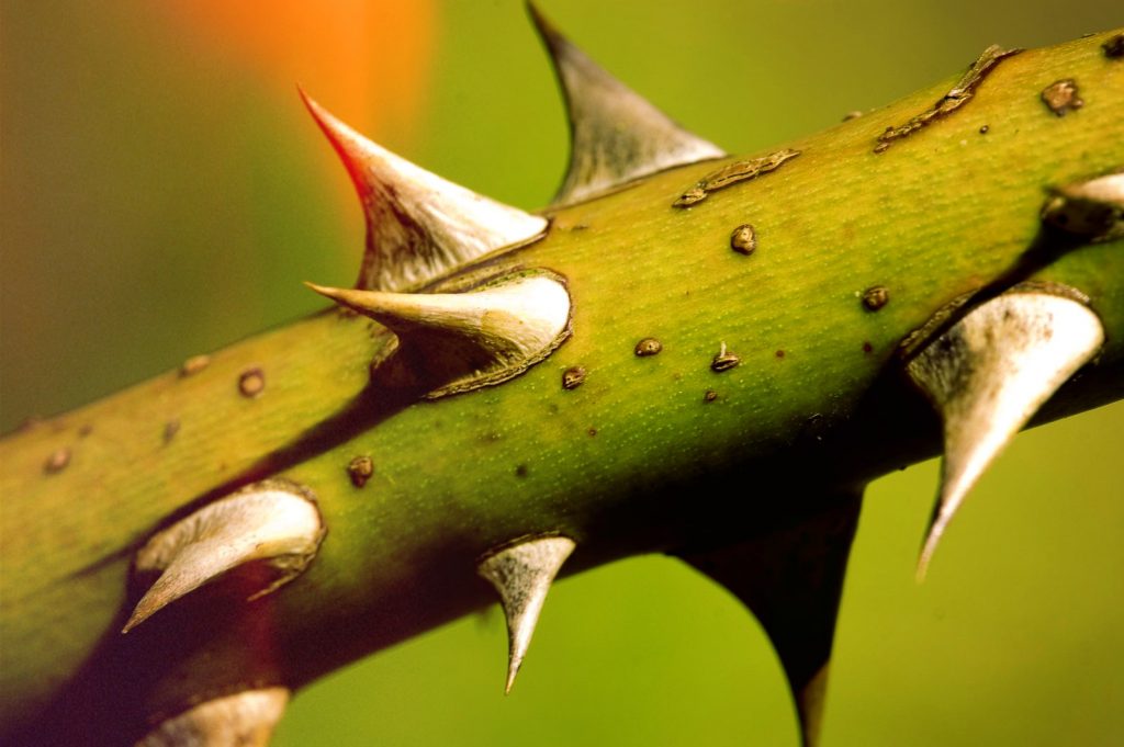 これ凄っ 夫婦再生カウンセラーが教える 旦那にイライラ 解消法